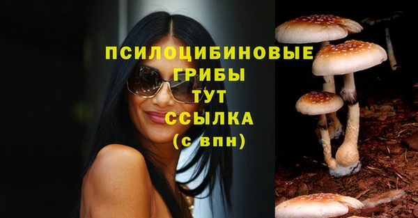 прущая мука Алзамай