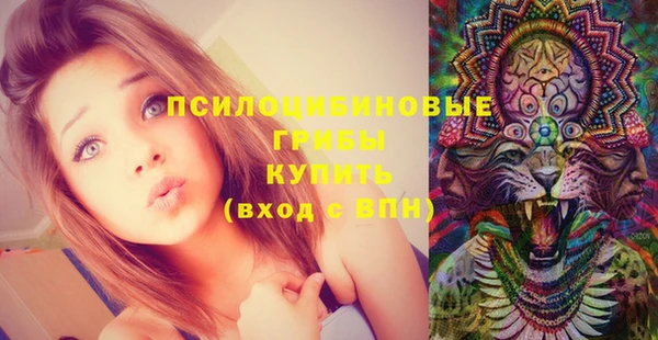 прущая мука Алзамай