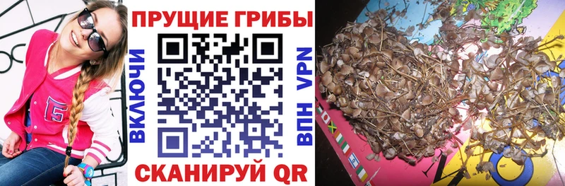 Псилоцибиновые грибы MAGIC MUSHROOMS  KRAKEN ссылки  Южно-Сахалинск  купить наркотики сайты 